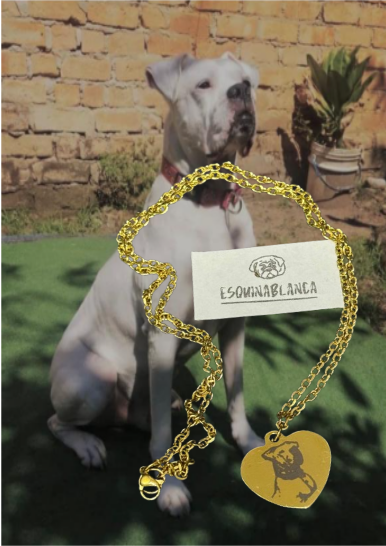 Collar curita Dorado Mujer